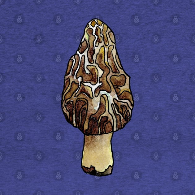 Morel by ThisIsNotAnImageOfLoss